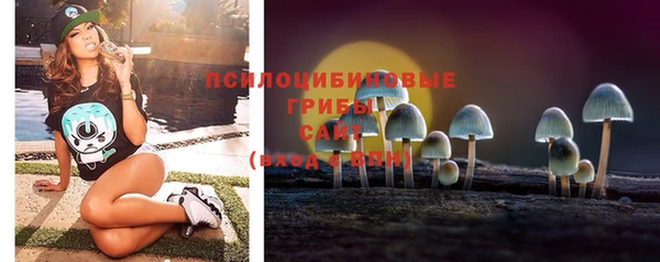 ECSTASY Алзамай