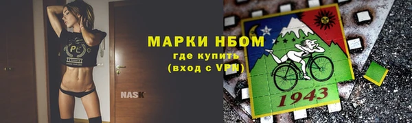 ECSTASY Алзамай