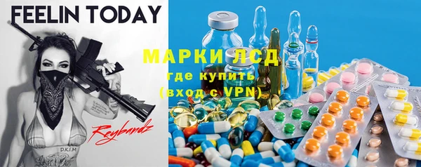 ECSTASY Алзамай