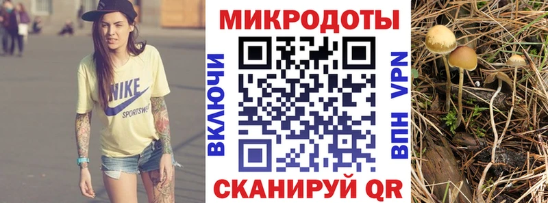 Галлюциногенные грибы Magic Shrooms  купить закладку  Данилов 